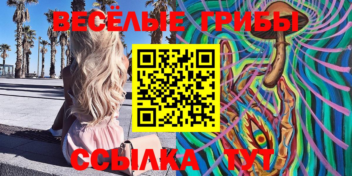Псилоцибиновые грибы мицелий Тверь